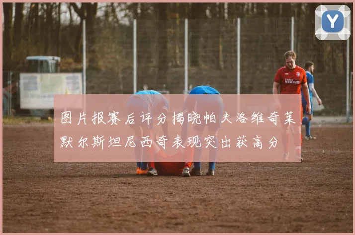 图片报赛后评分揭晓帕夫洛维奇莱默尔斯坦尼西奇表现突出获高分